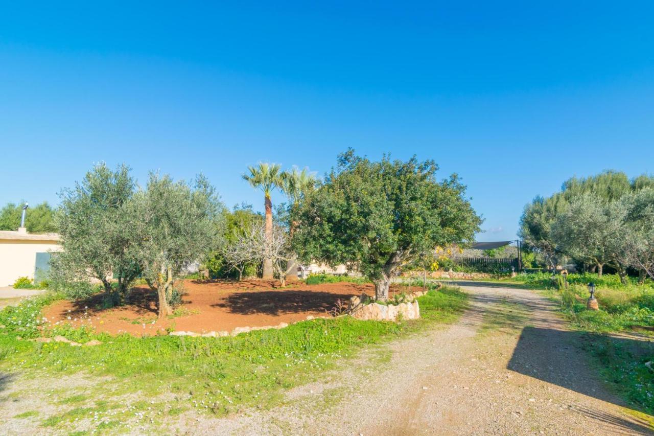 Sa Tanqueta De Ses Roques Villa Santanyi Eksteriør billede